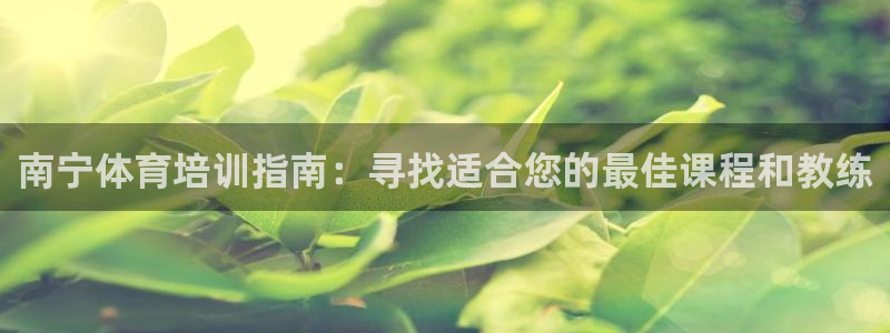 富联申购可以赚多少钱：南宁体育培训指南：寻找适合您的