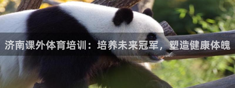 富联娱乐登录注册入口官网网址是什么：济南课外体育培训
