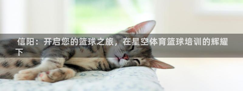 富联平台意 411o31 平台： 信阳：开启您的篮球
