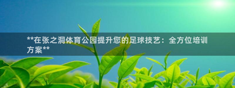 富联官网注册流程图片：**在张之洞体育公园提升您的足球技艺：