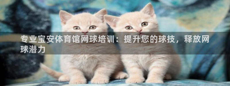 富联娱乐测速地址在哪：专业宝安体育馆网球培训：提升您的球技，