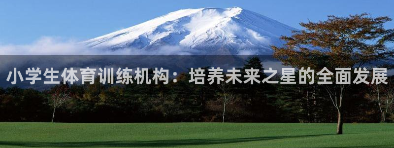 富联娱乐登录注册入口官网下载：小学生体育训练机构：培养未来之