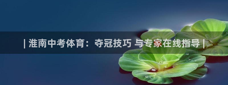 富联机器人产业研发基地：| 淮南中考体育：夺冠技巧 