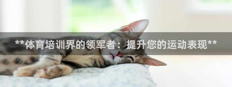 富联平台登录注册：**体育培训界的领军者：提升您的运
