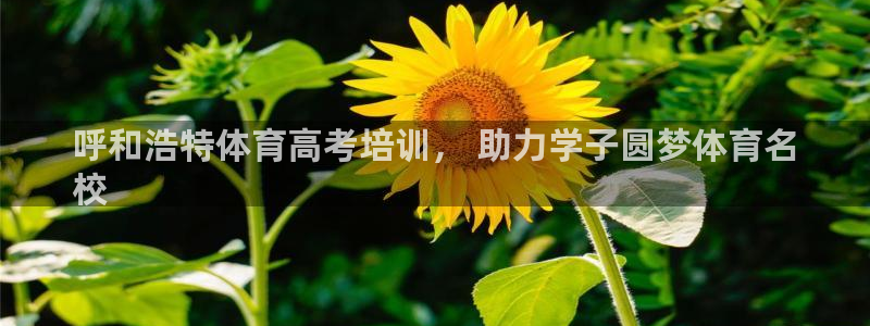 富联娱乐平台开户条件：呼和浩特体育高考培训， 助力学子圆梦体