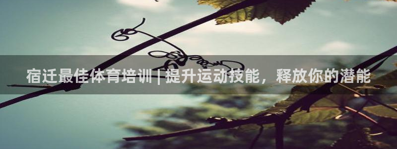 富联娱乐是真的吗：宿迁最佳体育培训 | 提升运动技能，释放你