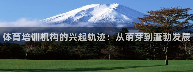 富联小区：体育培训机构的兴起轨迹：从萌芽到蓬勃发展