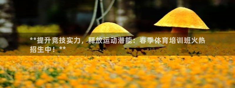 富联娱乐服务站怎么样：**提升竞技实力，释放运动潜能：春季体