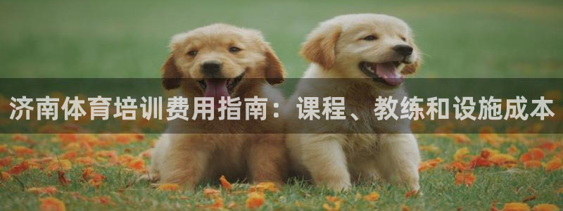 富联娱乐正规吗：济南体育培训费用指南：课程、教练和设施成本