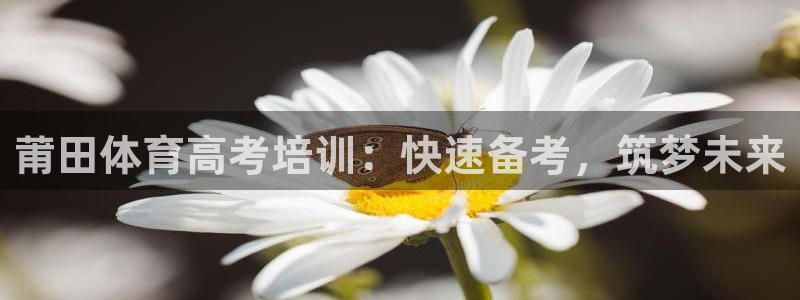 富联申购什么时候开盘：莆田体育高考培训：快速备考，筑梦未来