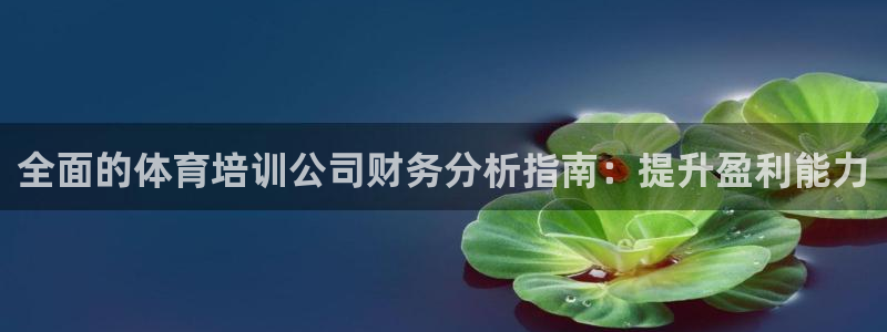 富联娱乐平台是什么平台：全面的体育培训公司财务分析指
