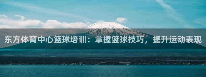 富联平台登录网址：东方体育中心篮球培训：掌握篮球技巧