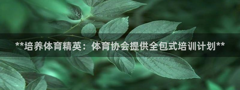 富联娱乐讲7O777：**培养体育精英：体育协会提供