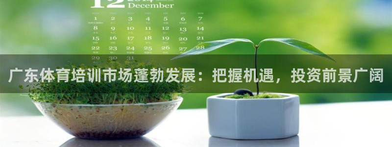 富联大厦：广东体育培训市场蓬勃发展：把握机遇，投资前