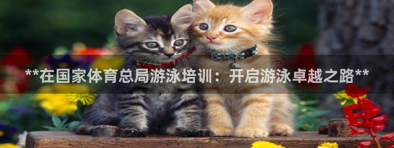 富联官网丁6.7.5.1.3.8：**在国家体育总局
