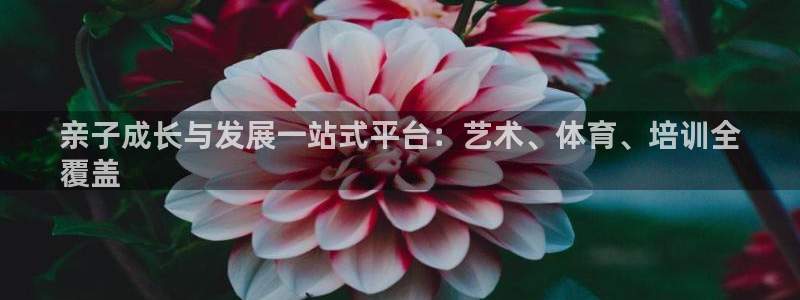 富联娱乐测速：亲子成长与发展一站式平台：艺术、体育、