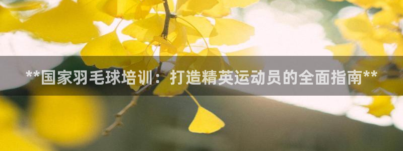 富联什么意思：**国家羽毛球培训：打造精英运动员的全