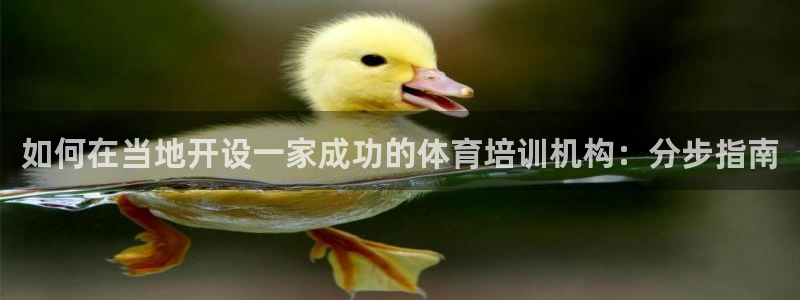 富联地产怎么样可靠吗：如何在当地开设一家成功的体育培训机构：