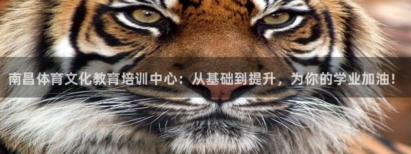 富联娱乐会员账号是什么