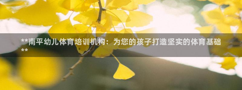 富联集团做什么的：**南平幼儿体育培训机构：为您的孩子打造坚