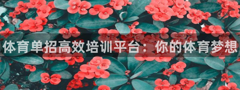 富联平台登录注册：体育单招高效培训平台：你的体育梦想