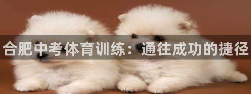 富联平台非7O777：合肥中考体育训练：通往成功的捷