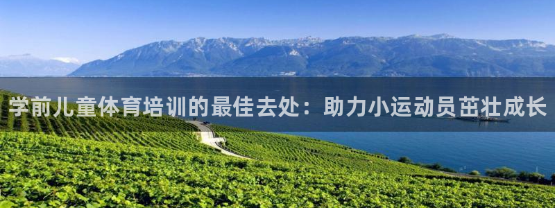 富联娱乐股东：学前儿童体育培训的最佳去处：助力小运动员茁壮成