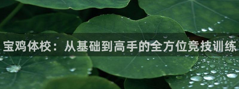 富联娱乐官方网站下载安装：宝鸡体校：从基础到高手的全方位竞技