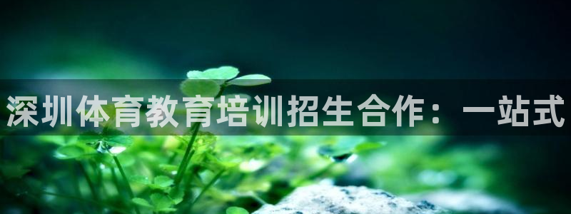 富联娱乐玩法机制介绍：深圳体育教育培训招生合作：一站式