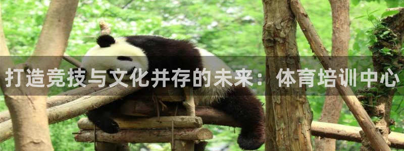 富联娱乐平台开户：打造竞技与文化并存的未来：体育培训