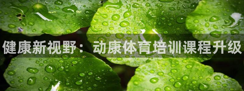 富联娱乐玩法机制介绍：健康新视野：动康体育培训课程升