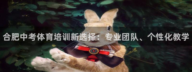 富联娱乐登录注册入口官网下载：合肥中考体育培训新选择：专业团